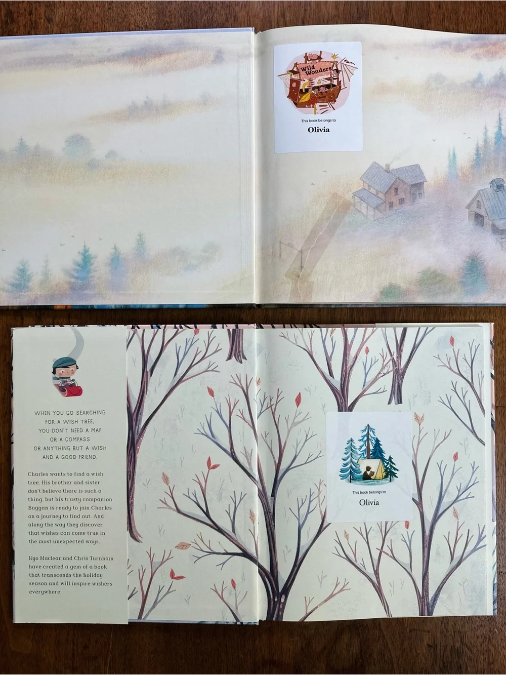 Children’s book lot